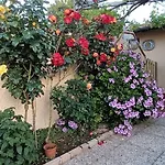 Daire Casa In Giardino