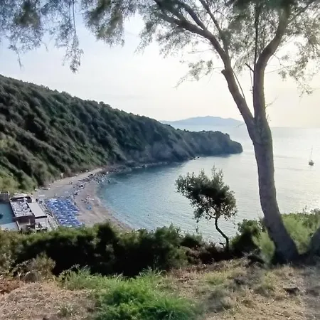 Casa In Giardino