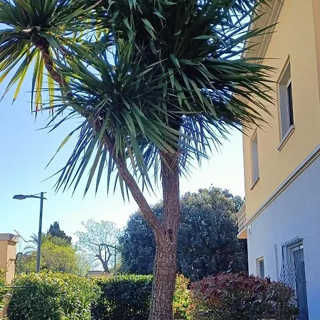Casa In Giardino